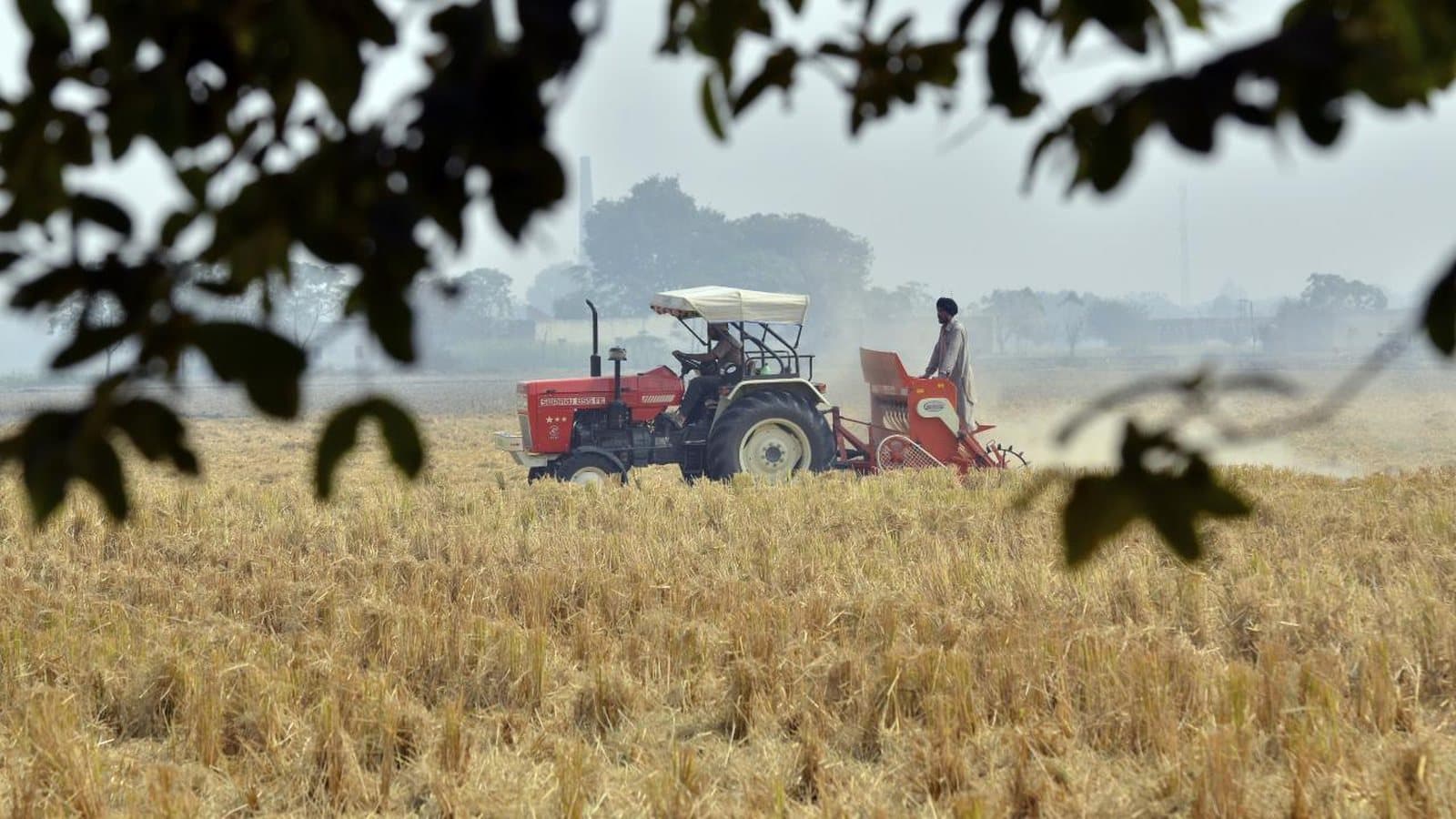 A tractor preparing a harvested paddy field in Punjab for the next wheat crop