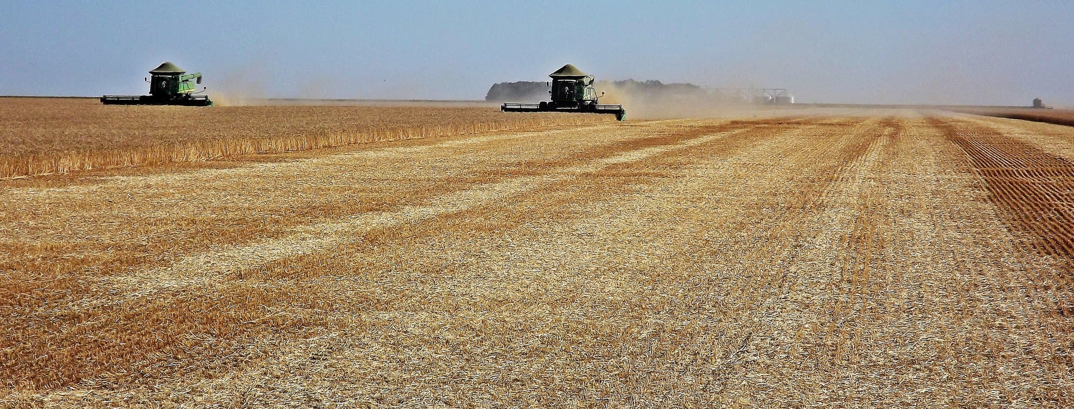 Combine Harvesters — reference photo