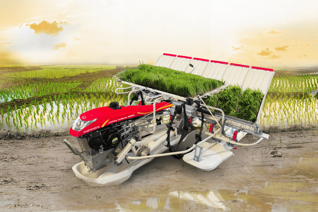 Paddy Transplanters — reference photo